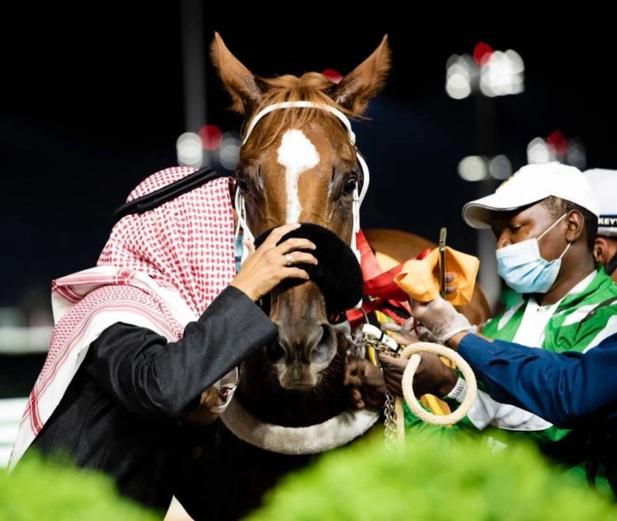 جائزة نادي سباقات التقديرية