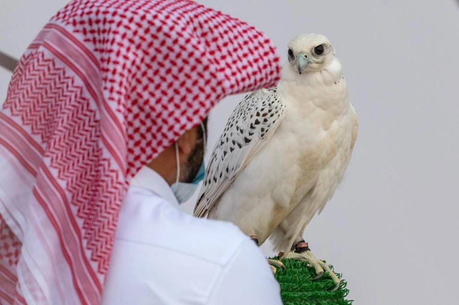 مهرجان الملك عبدالعزيز