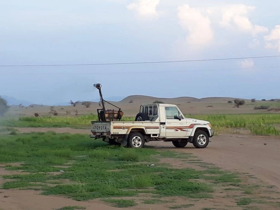 مكافحة الجراد في محافظات منطقة مكة المكرمة