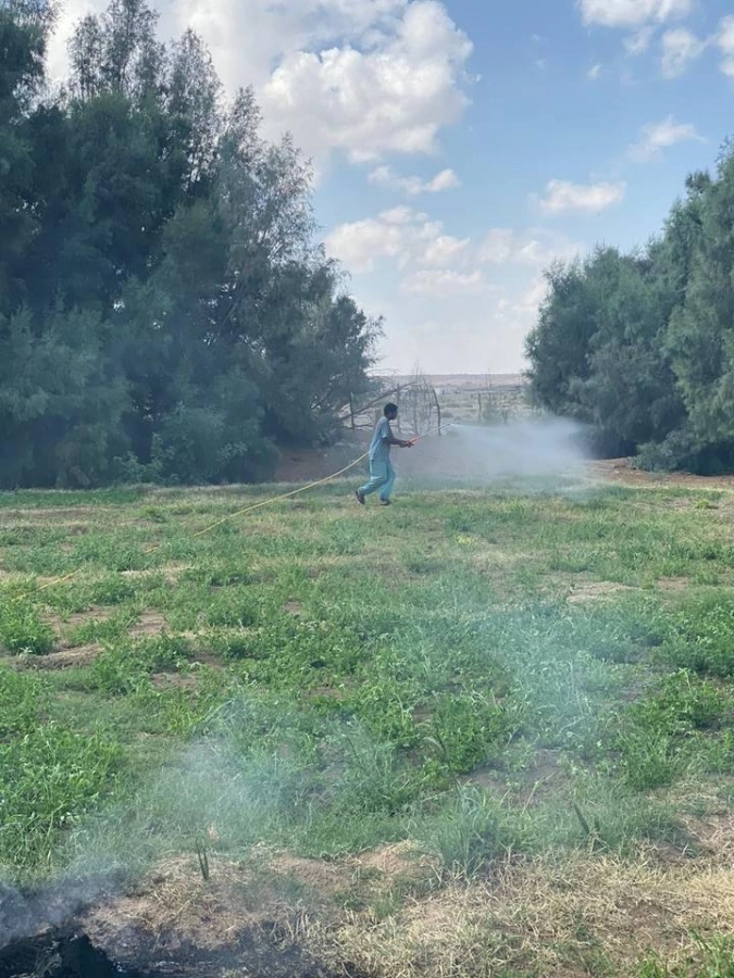 مكافحة الجراد في محافظات منطقة مكة المكرمة