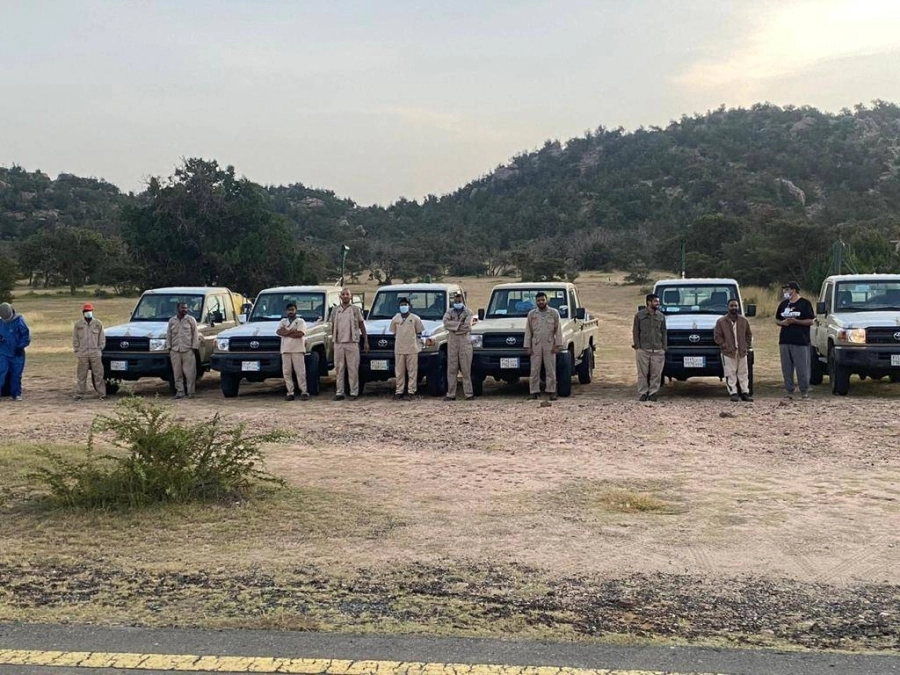 مكافحة الجراد في محافظات منطقة مكة المكرمة