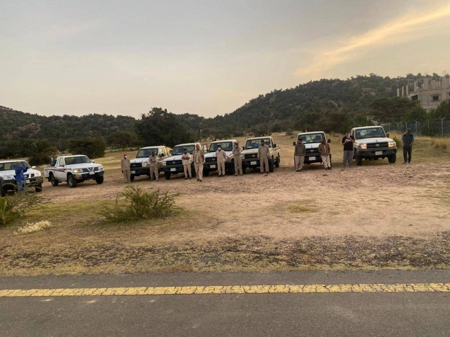 مكافحة الجراد في محافظات منطقة مكة المكرمة