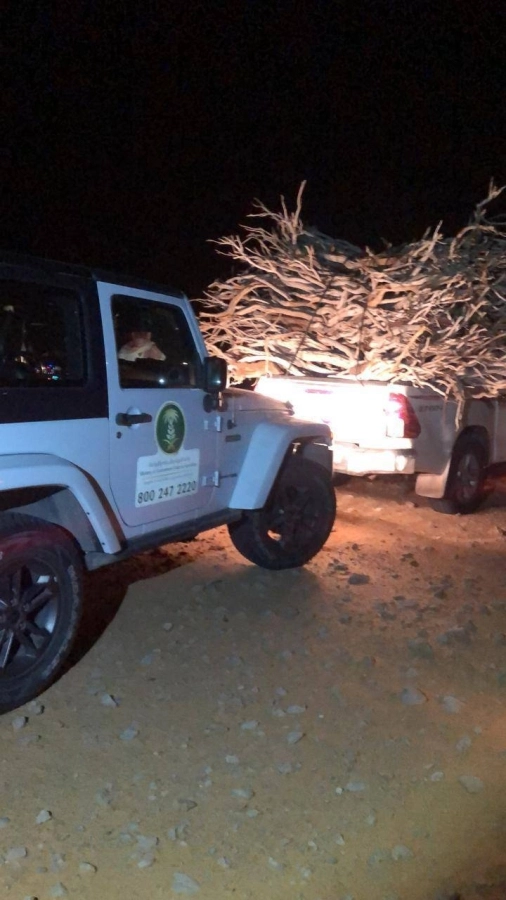 فرق الوزارة خلال ضبط سيارات الحطب (مكة)