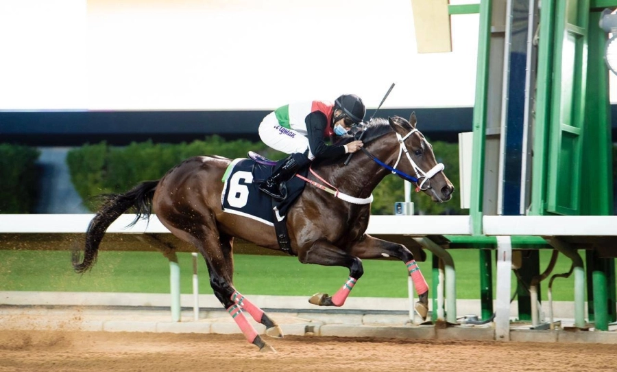 جانب من سباقات الخيل لكأس الحرس الوطني