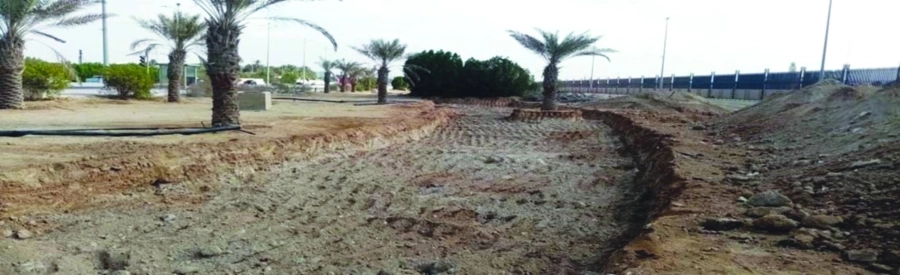 من أعمال التشجير                                                                                                                                                                                              (مكة)