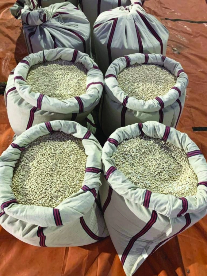 من حبوب الأمفيتامين المضبوطة           (مكة)