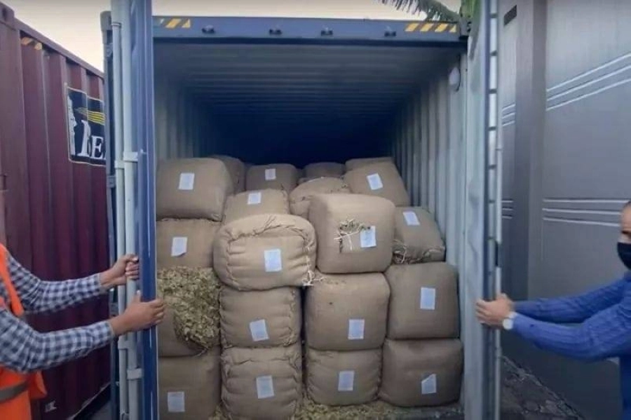 






شحنة مخدرات سورية كانت في طريقها لمصر