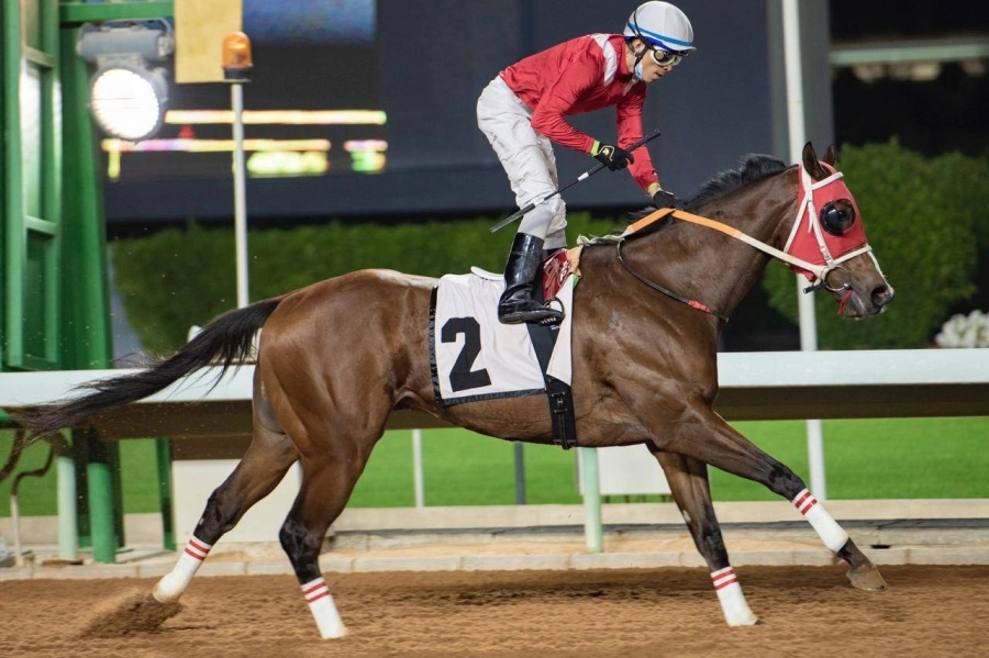 موسم نادي سباقات الخيل 