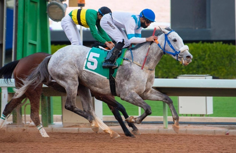 موسم نادي سباقات الخيل