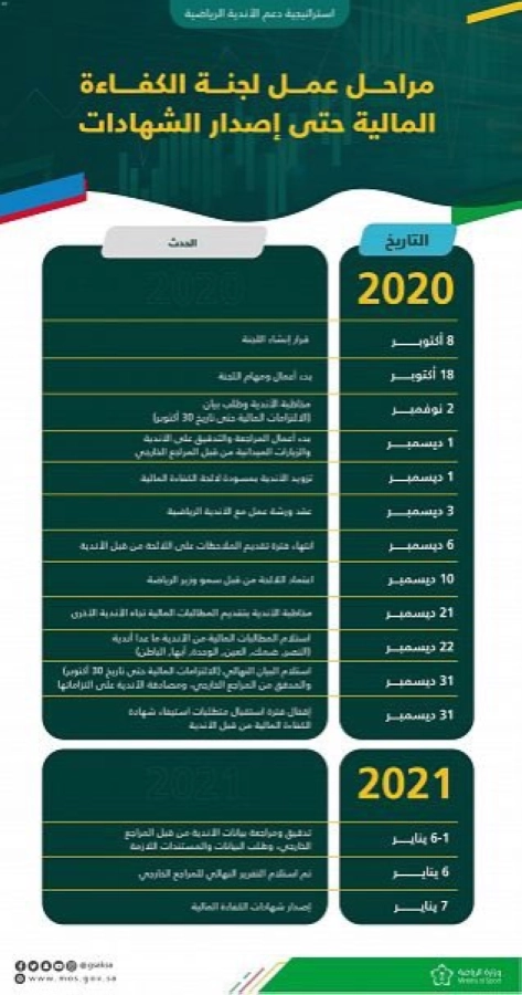 لجنة الكفاءة المالية بوزارة الرياضة تُعلن قراراتها بشأن أحقية حصول الأندية على شهادة الكفاءة المالية