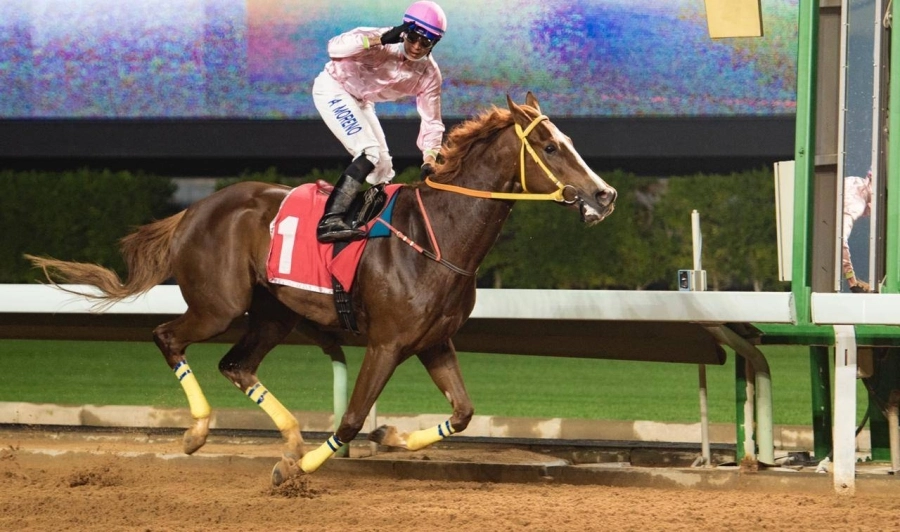 هيبو يستعيد الهيبة بكأس أوروبا وغملاس بطلا للميادين في سباقات الخيل