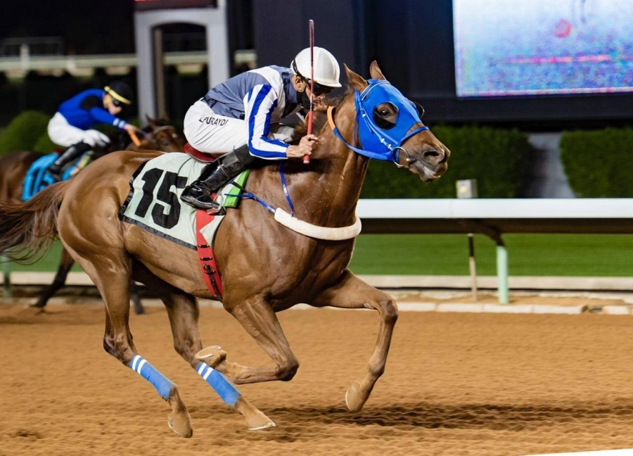 هيبو يستعيد الهيبة بكأس أوروبا وغملاس بطلا للميادين في سباقات الخيل