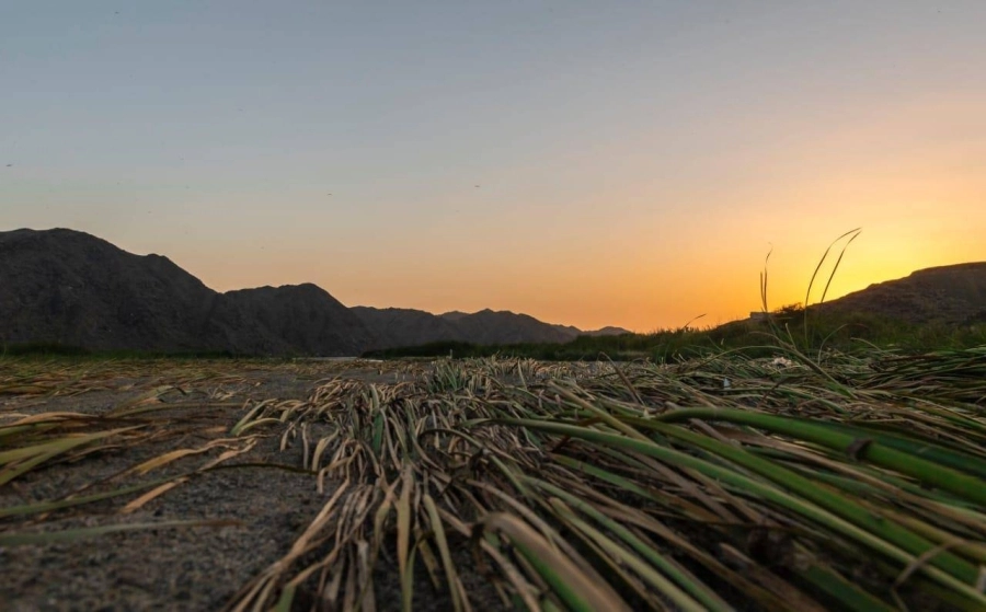 أودية تهامة تشكل لوحة فنية ساحرة (مكة) 