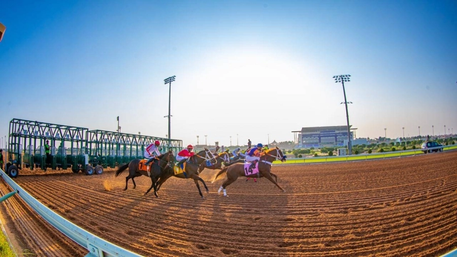 مهرجان كؤوس الملوك لسباقات الخيل يعلن غدًا القائمة المبدئية للمشاركين