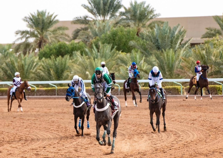 نادي سباقات الخيل يعلن القائمة النهائية لمهرجان كؤوس الملوك