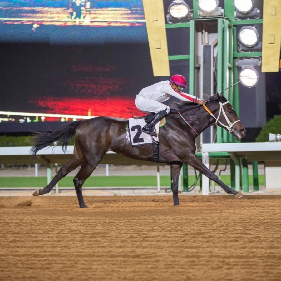 من الأمسية الأولى لمهرجان كؤوس الملوك السادسة