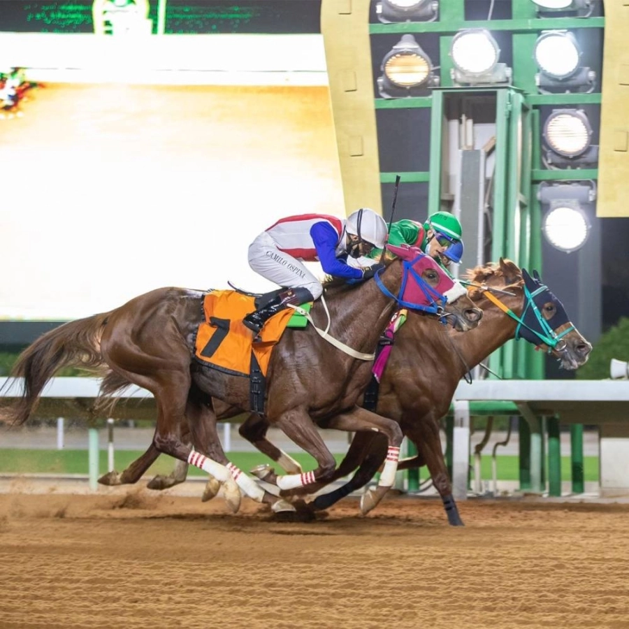 من الأمسية الأولى لمهرجان كؤوس الملوك السادسة