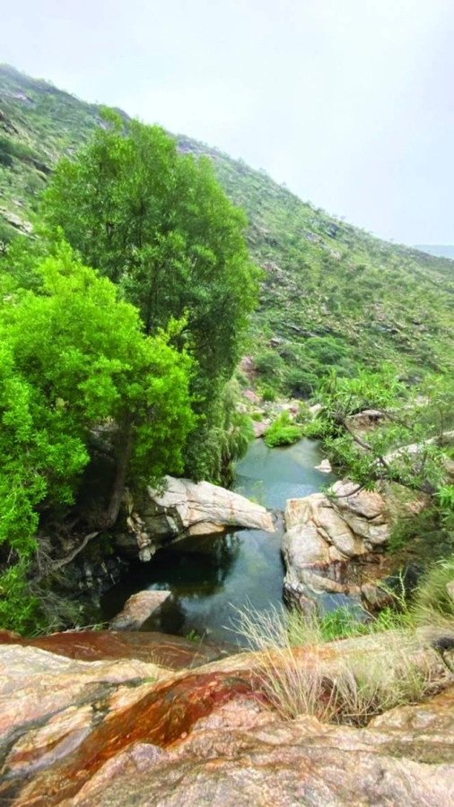 من البيئة الطبيعية بالأصدار (مكة)