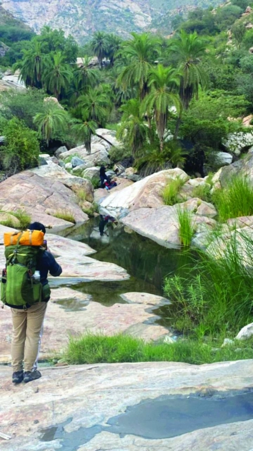 






أشجار كثيفة تغطي المنطقة          (مكة)