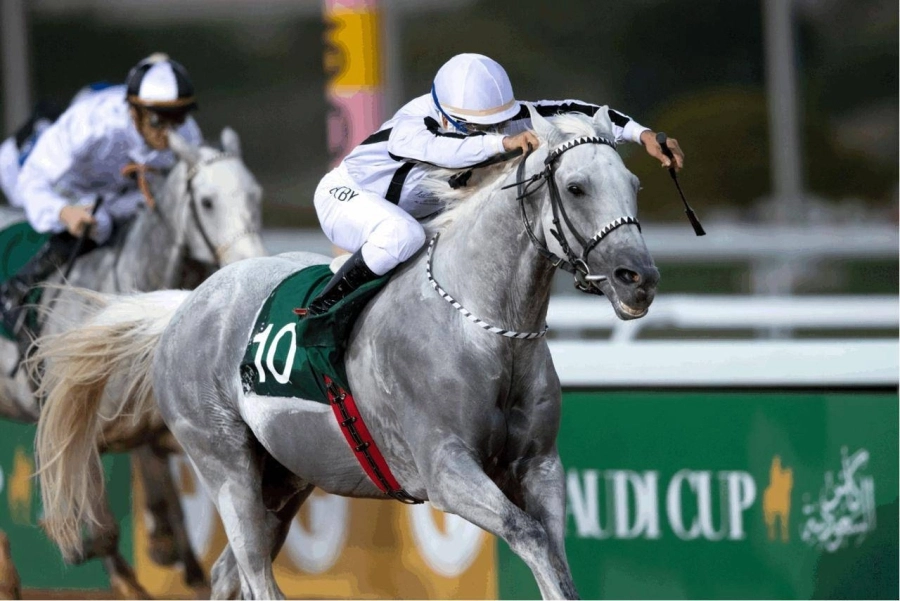 ترقية سباق الخيل "كأس العبّية" إلى فئة "ليستد" ضمن كأس السعودية 2021
