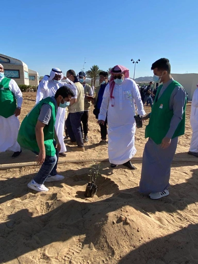 مبادرة تشجير بوابة مكة ( مكة ) 