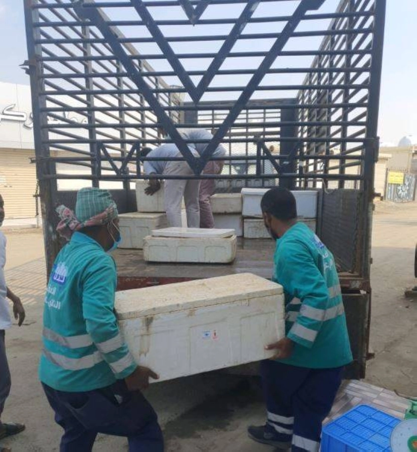 ضبط المخالفة