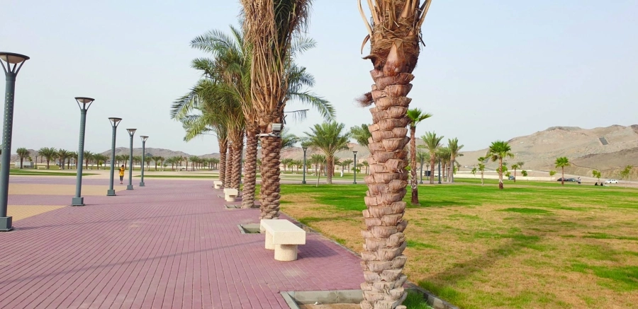 






حديقة الجعرانة