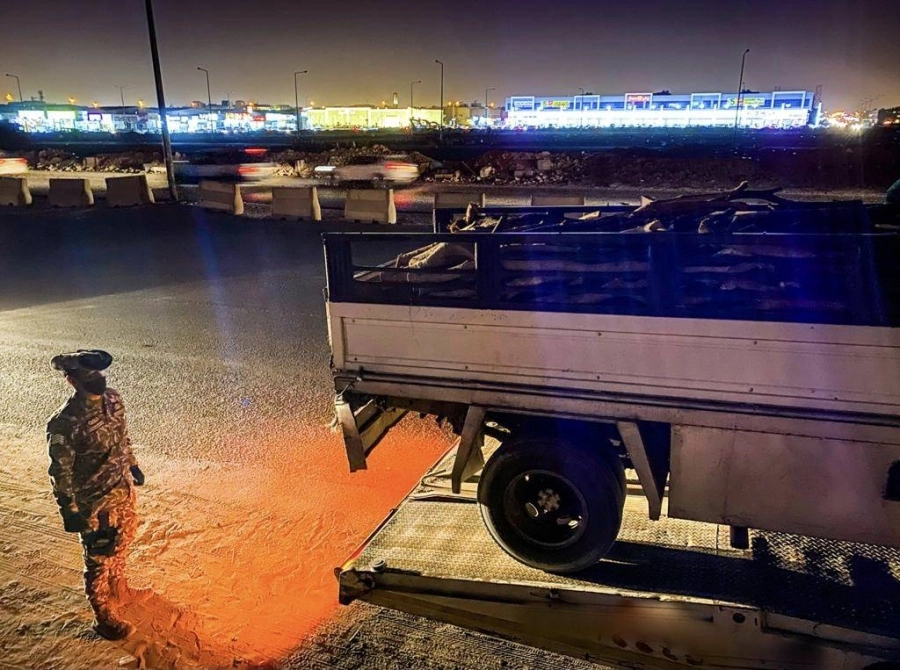 القوات الخاصة للأمن البيئي تضبط أكثر من 12 طناً من الحطب المحلي في مدينة الرياض (واس)