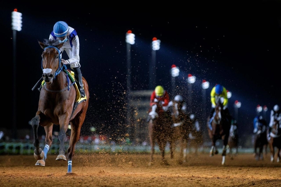 نادي سباقات الخيل