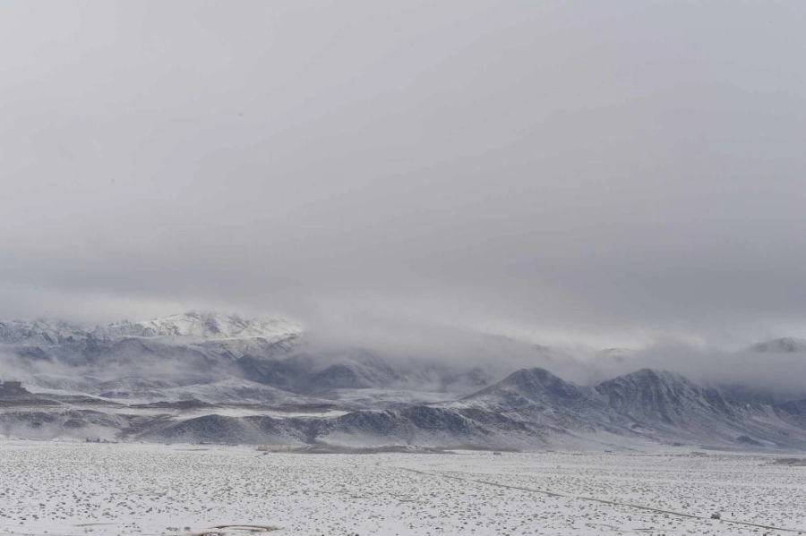 من التنوع البيئي في تبوك (مكة) 