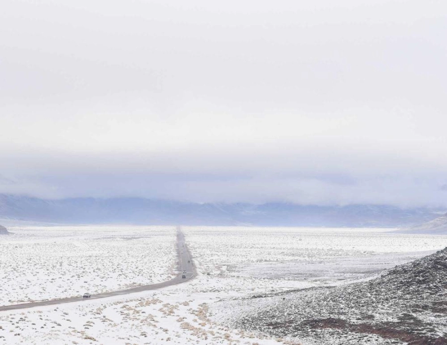 من التنوع البيئي في تبوك (مكة) 