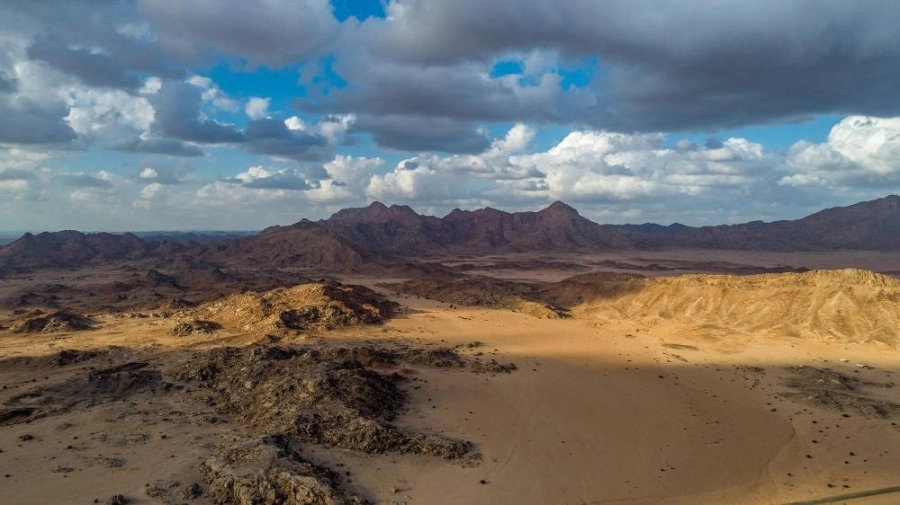 من التنوع البيئي في تبوك (مكة) 