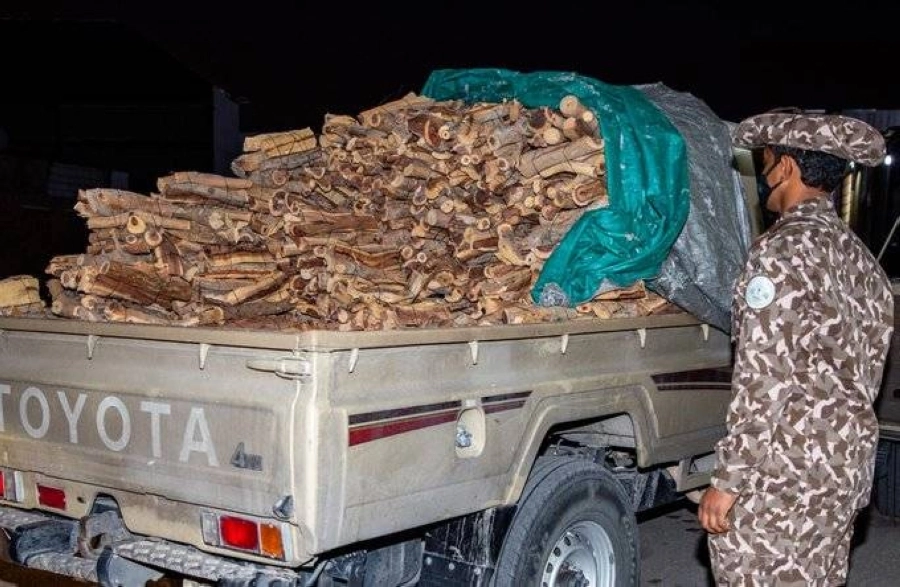 إيقاف 31 مخالفاً لنظام البيئة بحوزتهم أكثر من 5 أطنان من الحطب المعروض للبيع