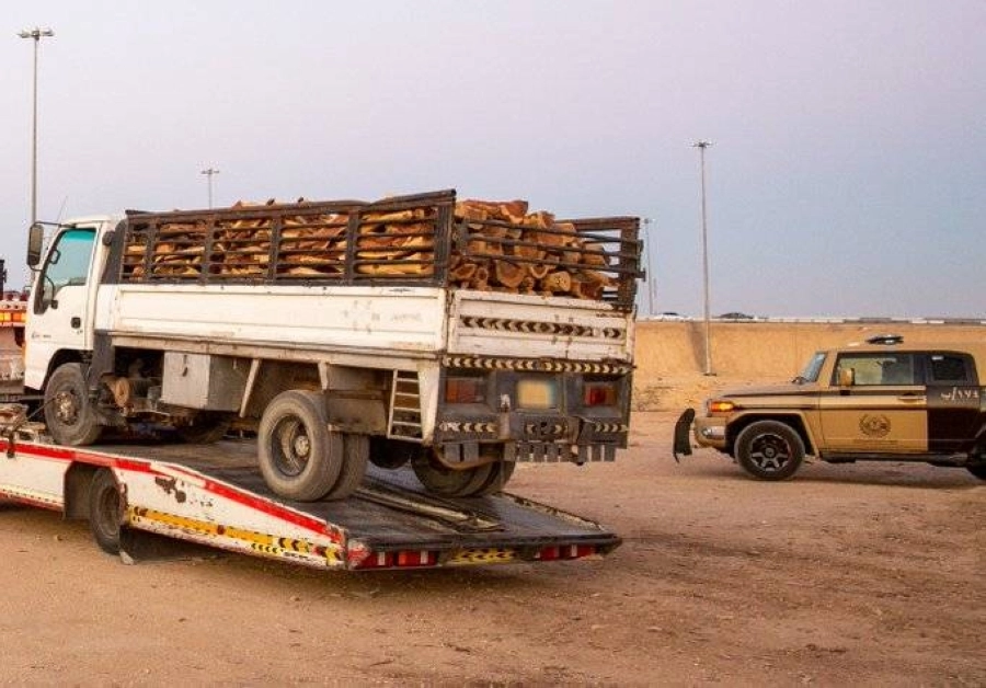 إيقاف 31 مخالفاً لنظام البيئة بحوزتهم أكثر من 5 أطنان من الحطب المعروض للبيع