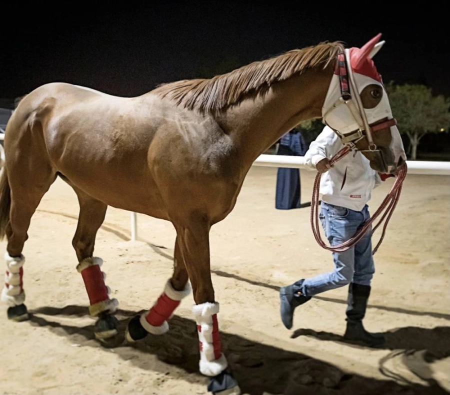 كأس السعودية 2021