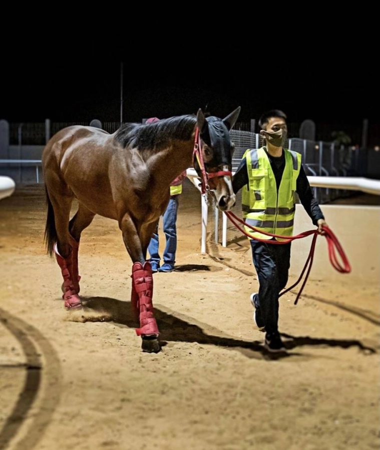 كأس السعودية 2021