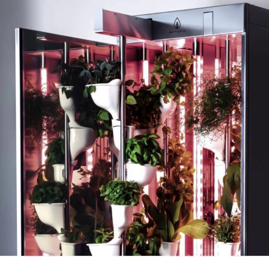 كاوست تستقطب أول شركة في العالم متخصصة في تطوير الزراعة الذكية داخل المنازل