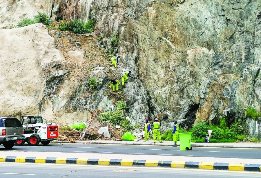 عمال نظافة خلال تقليم الأشجار المزروعة فوق أحد الجبال بالعاصمة المقدسة.
(أنس الحارثي) 