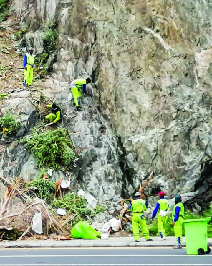 عمال نظافة خلال تقليم الأشجار المزروعة فوق أحد الجبال بالعاصمة المقدسة.
(أنس الحارثي) 