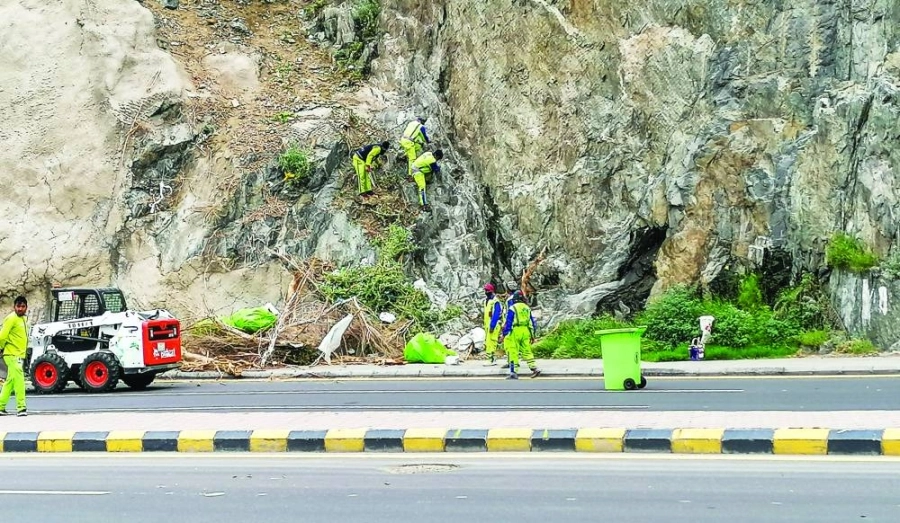 عمال نظافة خلال تقليم الأشجار المزروعة فوق أحد الجبال بالعاصمة المقدسة.
(أنس الحارثي) 