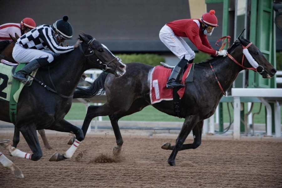 نادي سباقات الخيل يستأنف نشاطه بعد "كأس السعودية" بجائزته التقديرية