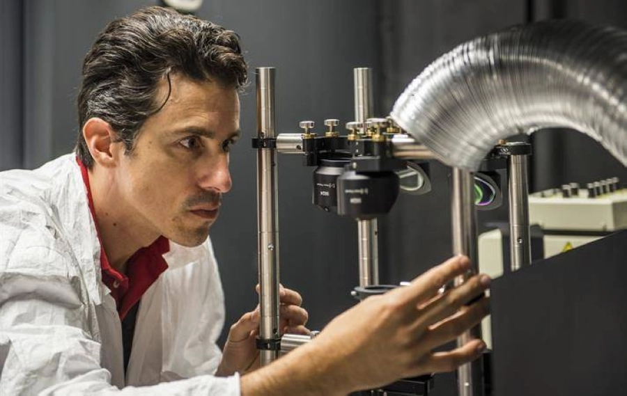 البروفيسور أندريا فراتالوتشي