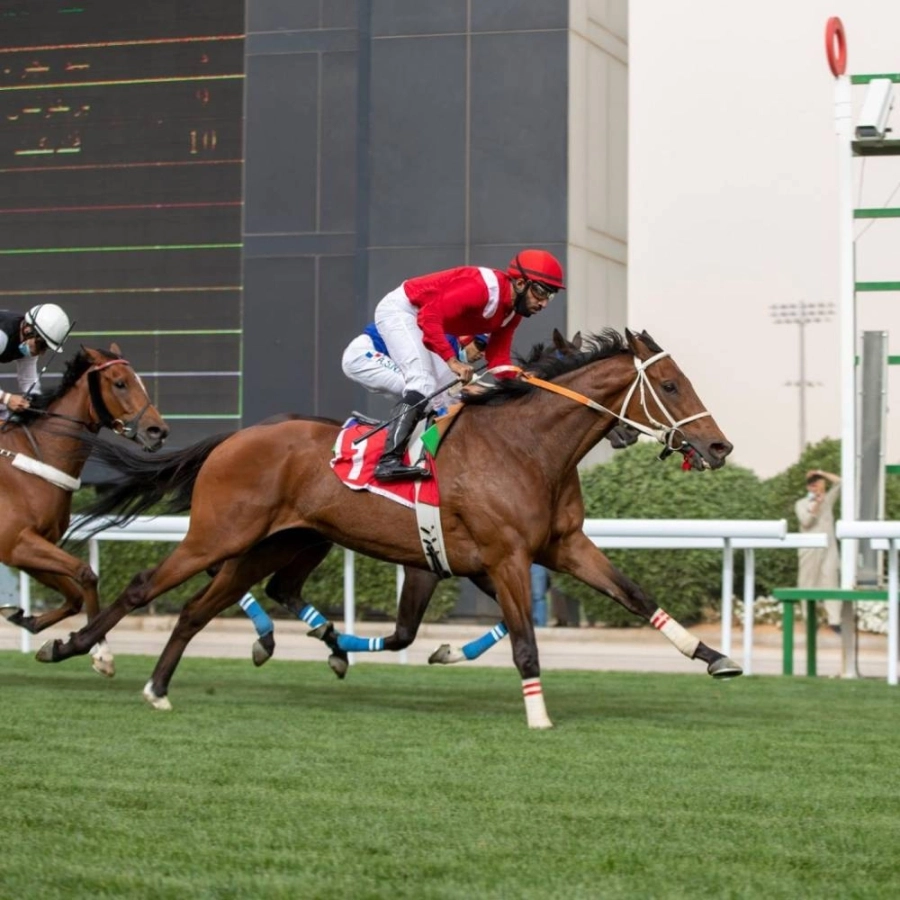 المخضرم "قافروش" يظفر بالتقديرية لنادي سباقات الخيل