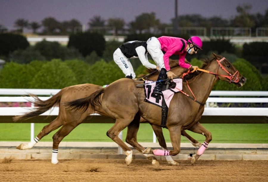 المخضرم "قافروش" يظفر بالتقديرية لنادي سباقات الخيل