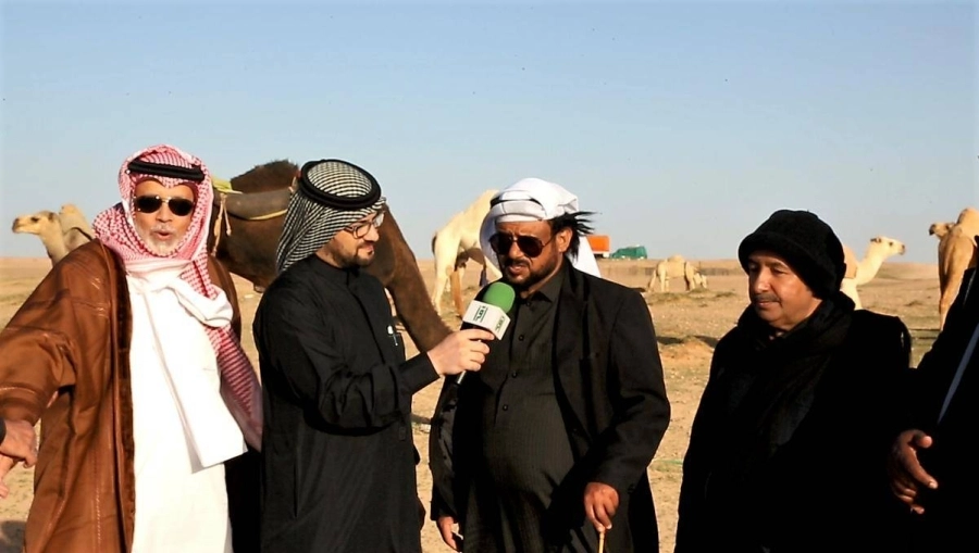 جانب من بعض اللقاءات