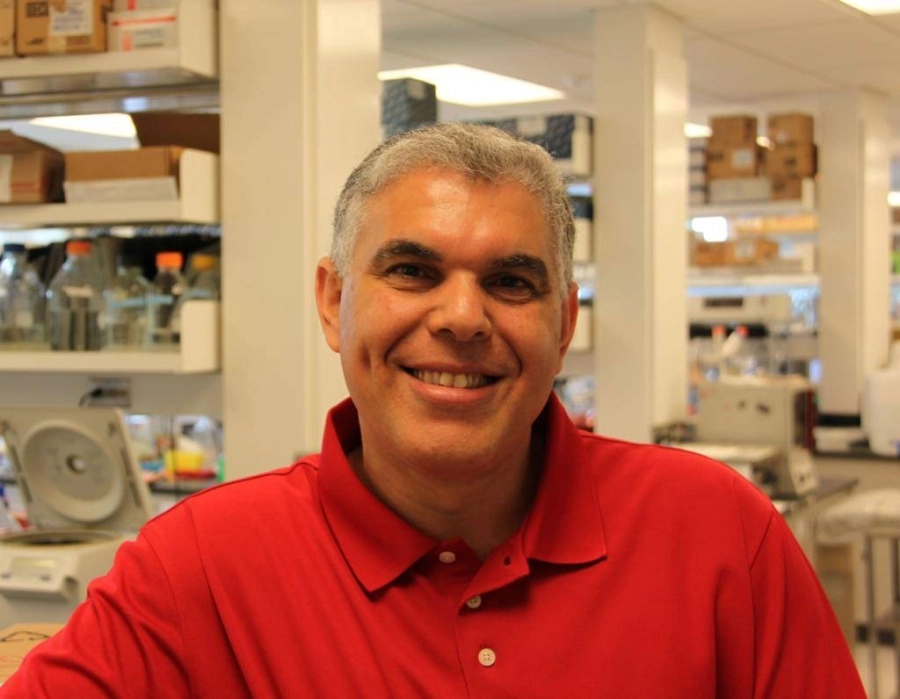 الدكتور عماد غلوزي المدير المشارك لمبادرة الصحة الذكية