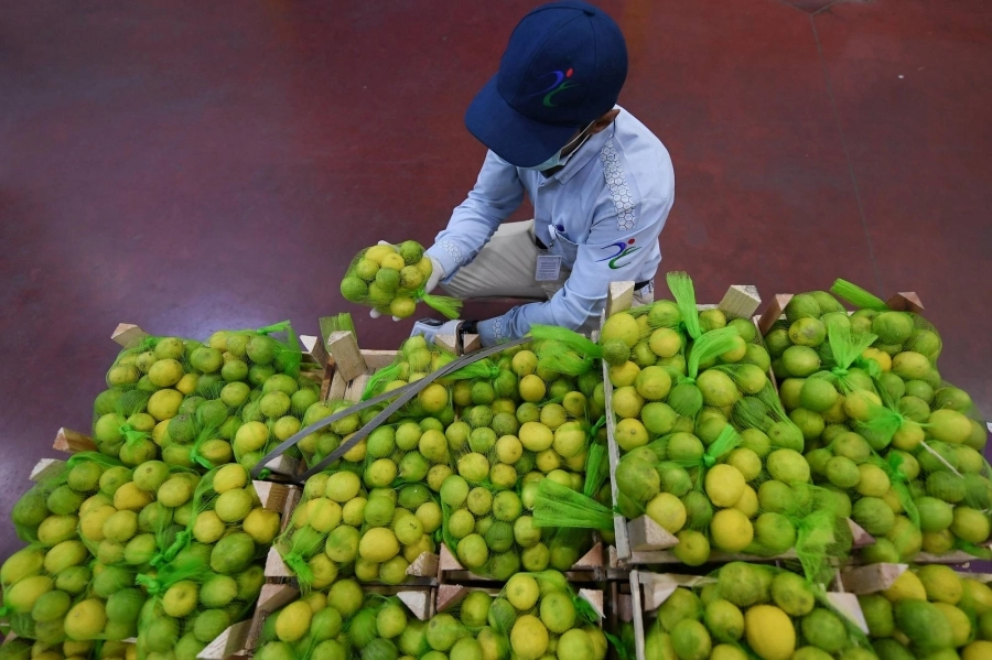 DST_1540251_2384688_5_2_2021041212502622