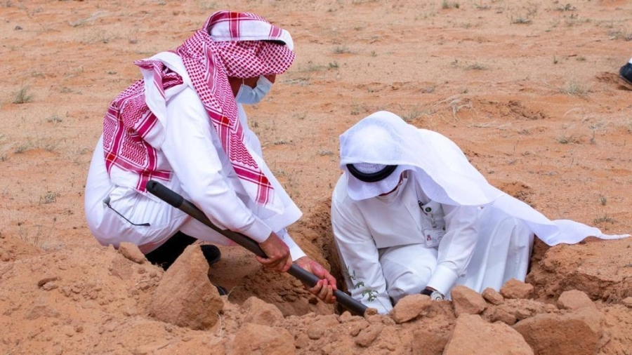 حملة تشجير المحمية