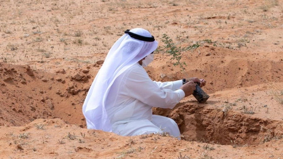 حملة تشجير المحمية