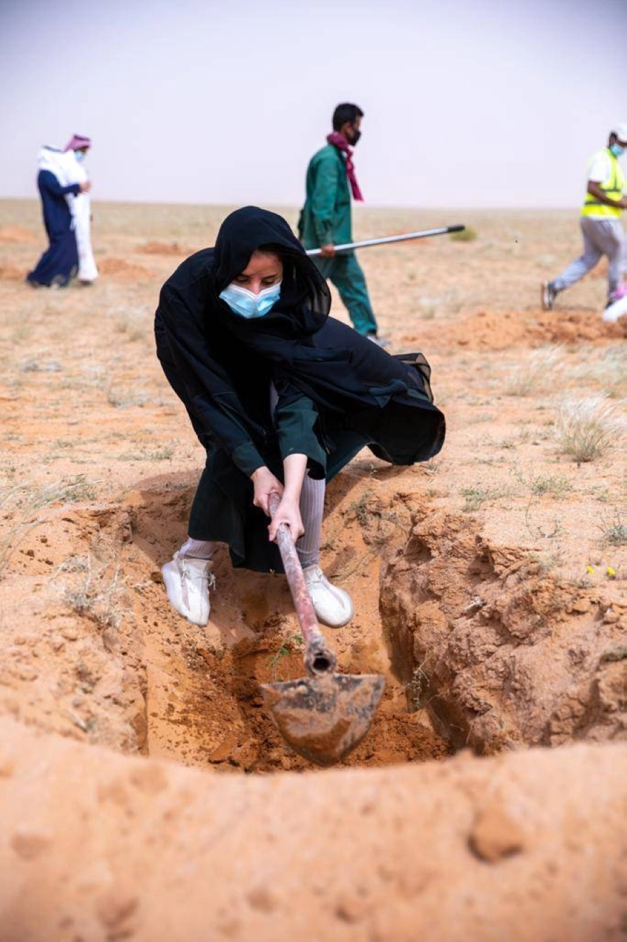 حملة تشجير المحمية